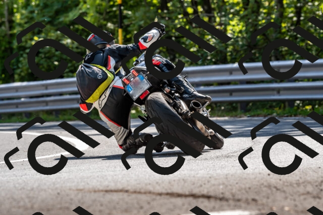 202509131525-DSC_9719_d2_