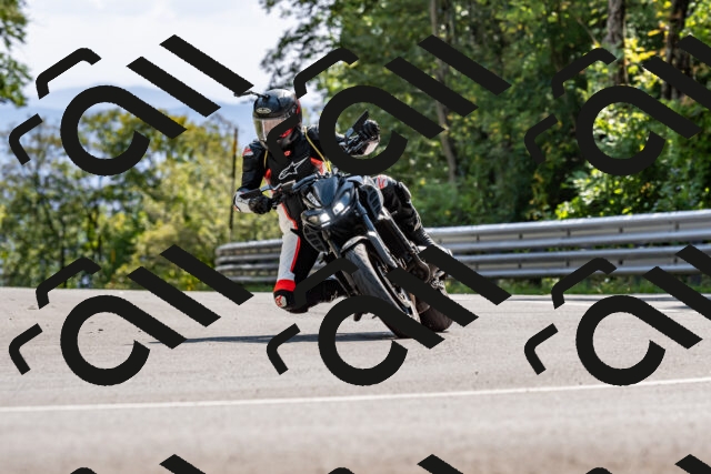 202509131525-DSC_9722_d2_