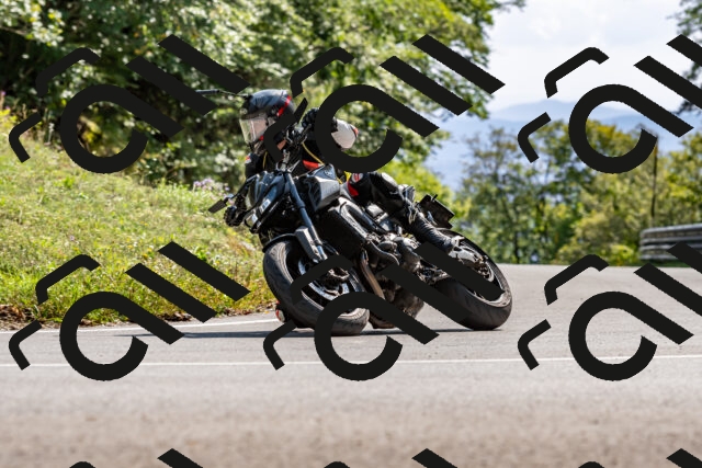 202509131525-DSC_9723_d2_