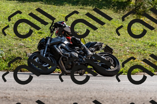 202509131525-DSC_9724_d2_