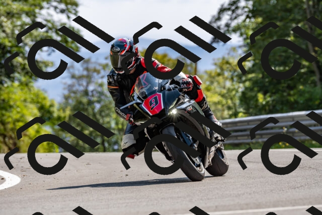 202509131528-DSC_9730_d2_