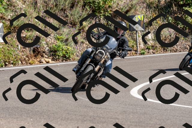 202509131529-DSC_9745_d2_