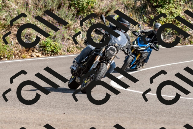 202509131529-DSC_9746_d2_