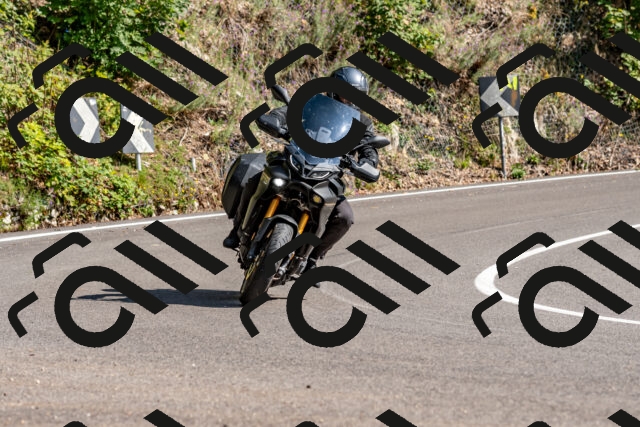 202509131529-DSC_9752_d2_