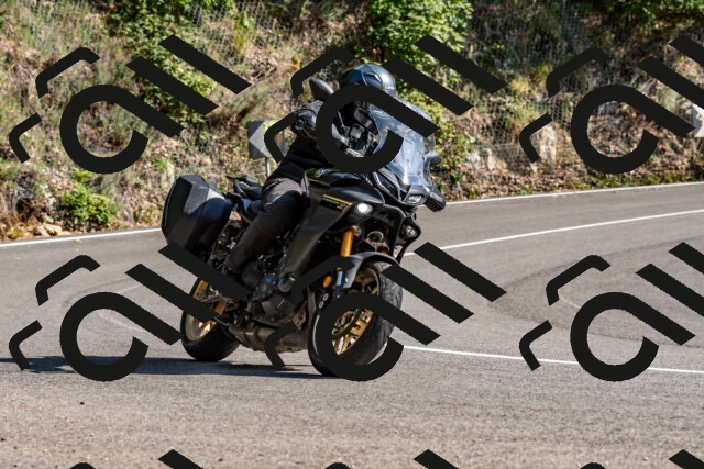 202509131529-DSC_9753_d2_