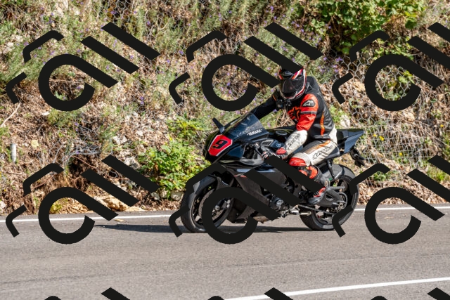 202509131530-DSC_9761_d2_