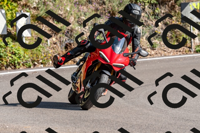 202509131544-DSC_9776_d2_