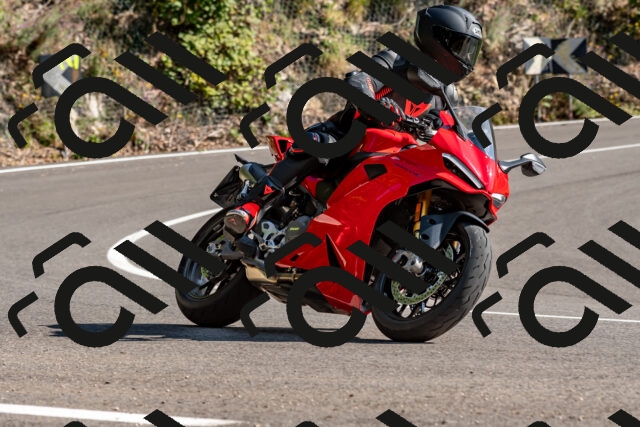 202509131544-DSC_9777_d2_