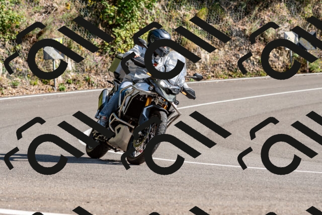 202509131553-DSC_9802_d2_