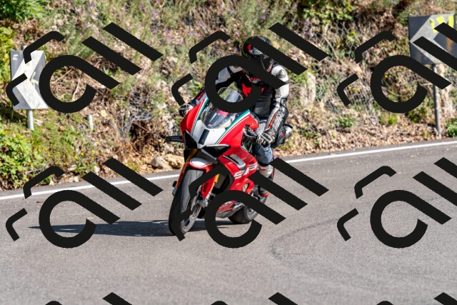 202509131554-DSC_9816_d2_