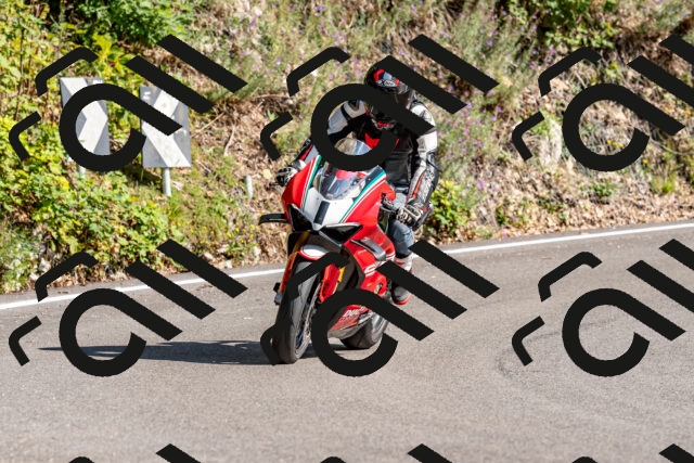 202509131554-DSC_9817_d2_