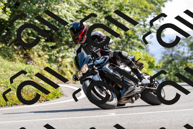 202509131554-DSC_9818_d2_