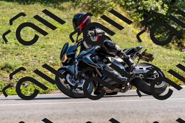 202509131554-DSC_9819_d2_