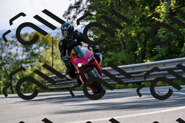 202509131555-DSC_9822_d2_