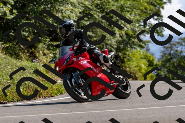 202509131555-DSC_9823_d2_