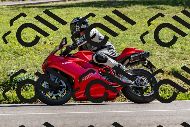 202509131555-DSC_9824_d2_