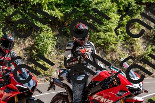 202509131555-DSC_9825_d2_