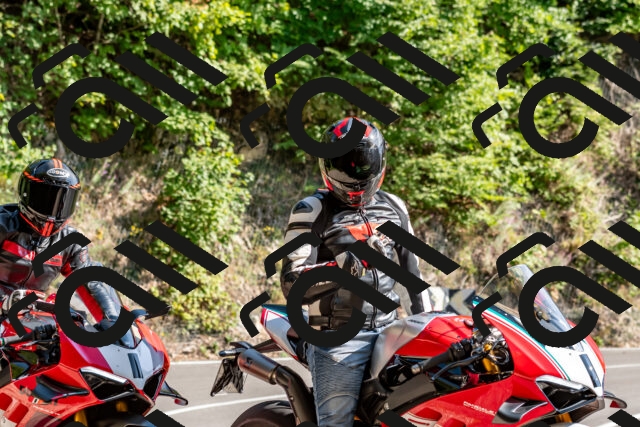 202509131555-DSC_9826_d2_