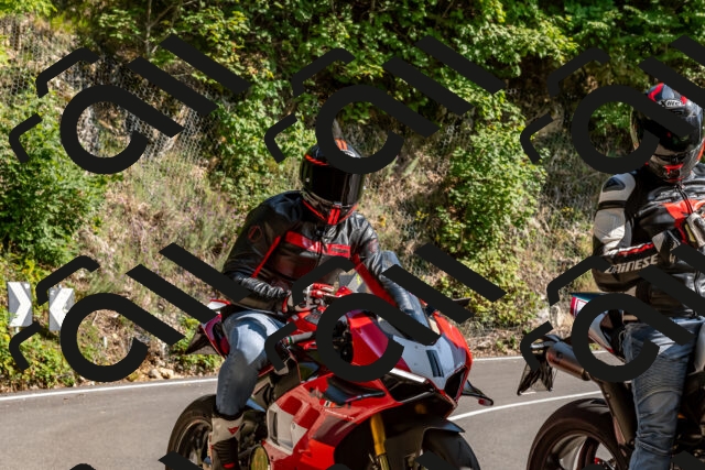 202509131555-DSC_9827_d2_