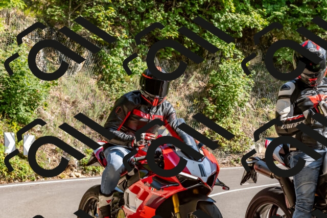 202509131555-DSC_9828_d2_