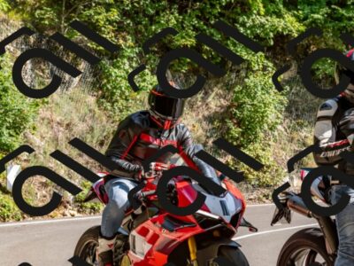 202509131555-DSC_9828_d2_