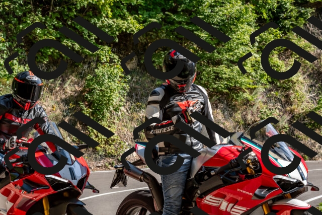 202509131555-DSC_9829_d2_