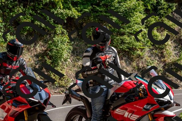 202509131555-DSC_9830_d2_