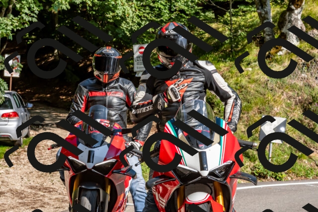 202509131555-DSC_9831_d2_