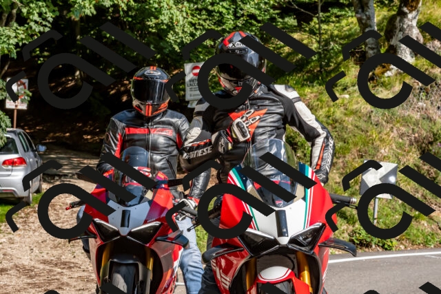 202509131555-DSC_9832_d2_