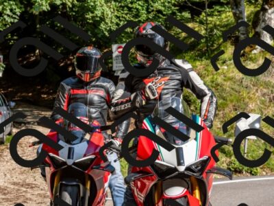 202509131555-DSC_9832_d2_