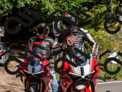 202509131555-DSC_9833_d2_