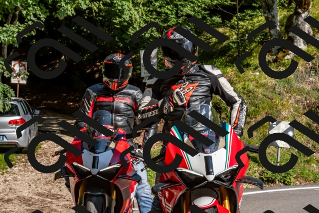 202509131555-DSC_9833_d2_