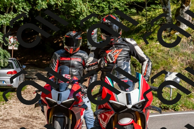 202509131555-DSC_9834_d2_