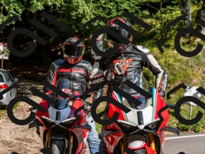 202509131555-DSC_9834_d2_