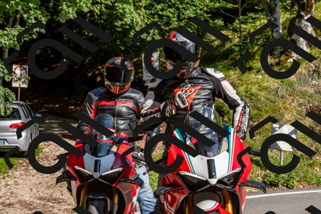 202509131555-DSC_9835_d2_