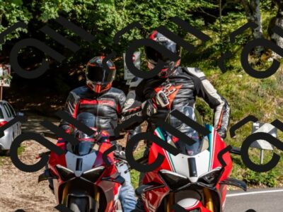 202509131555-DSC_9835_d2_