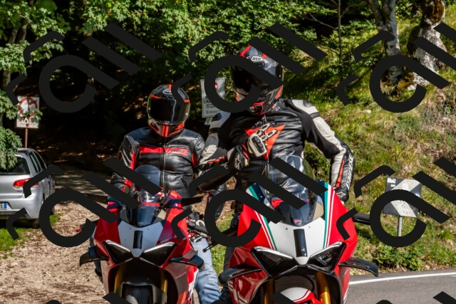 202509131555-DSC_9836_d2_