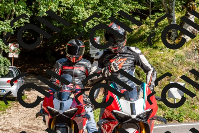 202509131555-DSC_9837_d2_