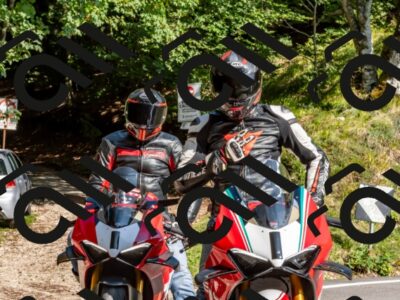 202509131555-DSC_9837_d2_