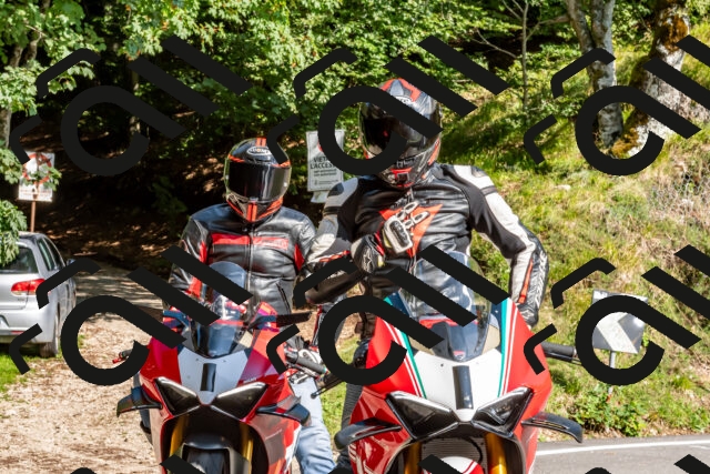 202509131556-DSC_9839_d2_