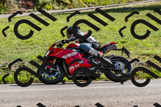 202509131557-DSC_9842_d2_