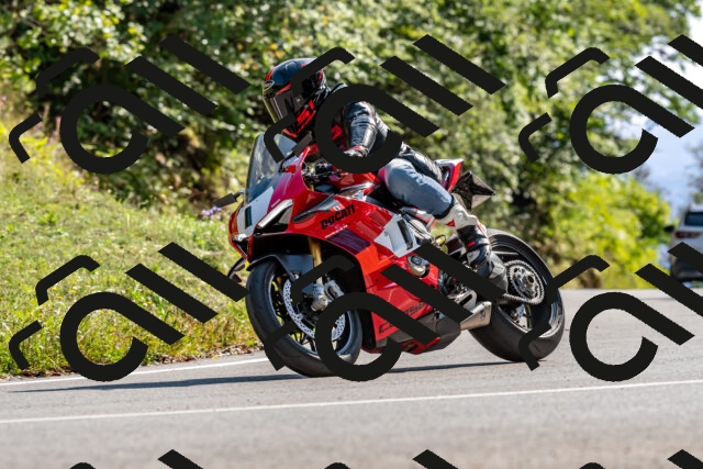 202509131557-DSC_9844_d2_