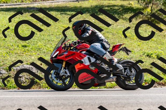 202509131557-DSC_9845_d2_