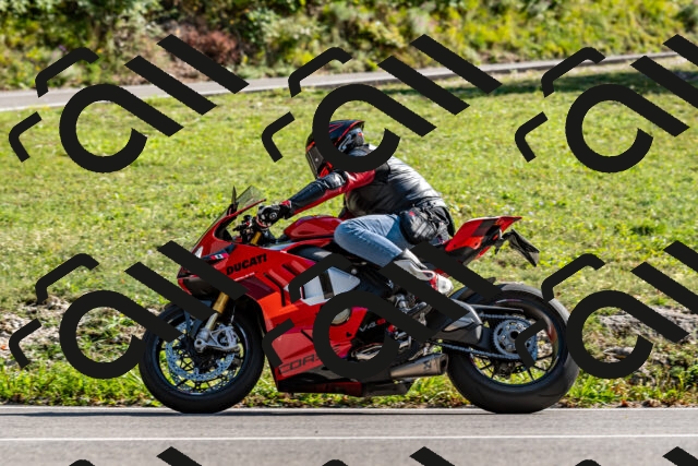 202509131557-DSC_9846_d2_