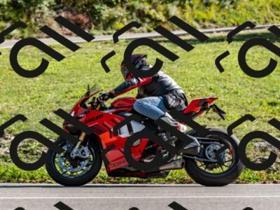 202509131557-DSC_9846_d2_