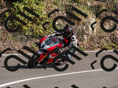 202509131558-DSC_9847_d2_