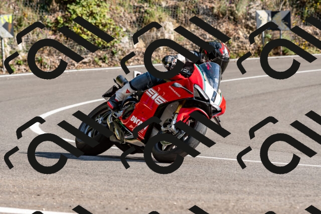 202509131558-DSC_9849_d2_