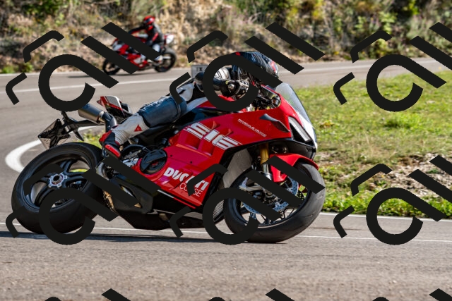 202509131558-DSC_9850_d2_