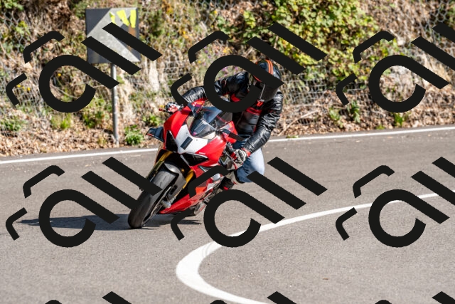 202509131558-DSC_9851_d2_