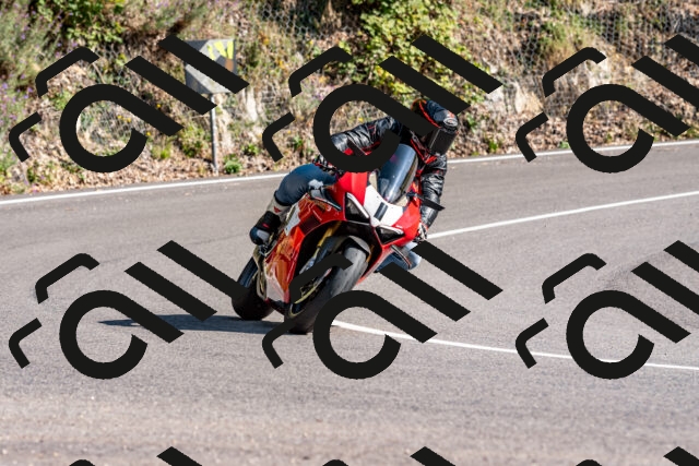 202509131558-DSC_9852_d2_